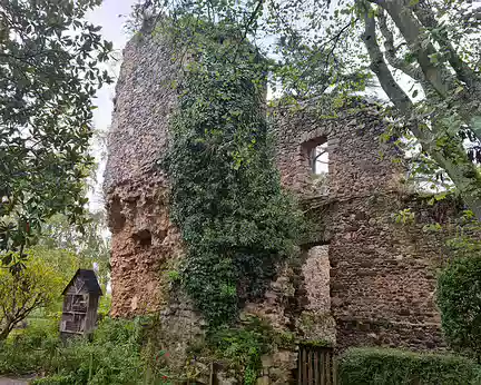 025 Ruines du château-fort de Fresnay-sur-Sarthe.