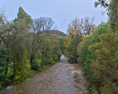 035 La Sarthe à St-Léonard-des-Bois.