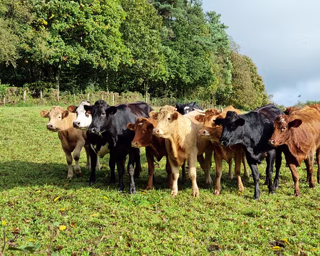 104 oh ! Des randonneurs qui passent.