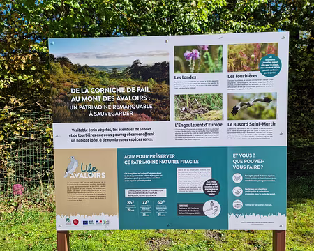 116 la Corniche de Pail est un site naturel remarquable, unique en Europe. Elle s’étire le long d’une crête de grès armoricain de 8 km de long qui culmine dans le...