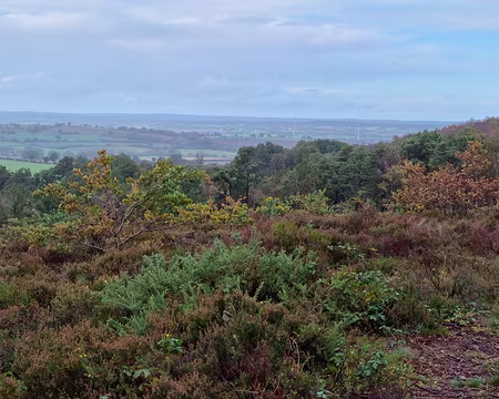 118 Le caractère sauvage des landes à bruyère, emblématiques du Massif Armoricain, révèle une ambiance singulière qui évolue au fil des saisons.