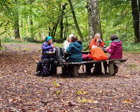 167 Dernier pique-nique sans pluie.