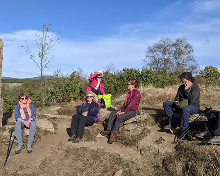 PXL_20231023_141914992.MP