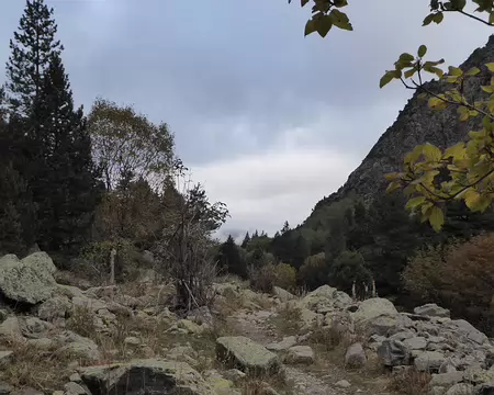 Départ dans la réserve naturelle d'Eyne Départ dans la réserve naturelle d'Eyne