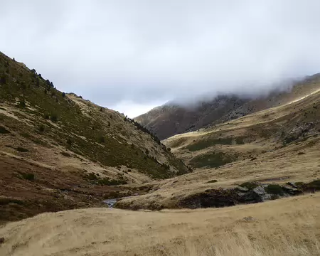 sommets dans la bruine sommets dans la bruine