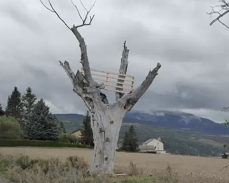 antenne naturelle antenne naturelle