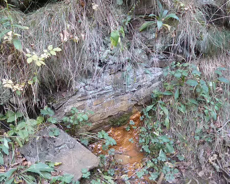 P1180066 Source de fer