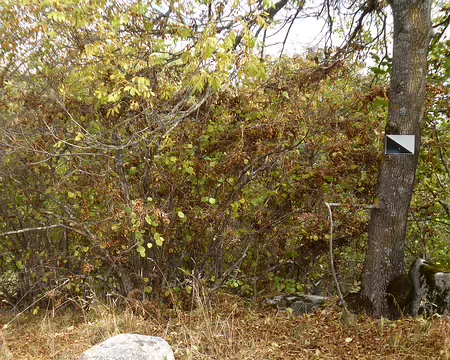 P1180073 Borne frontière