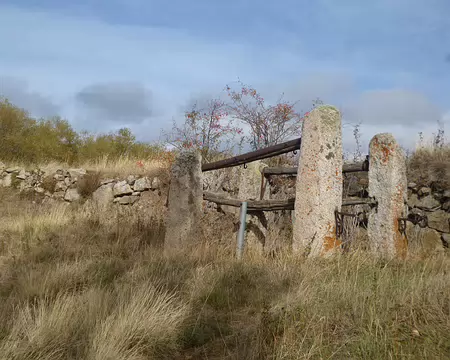 P1180097 Ancien travail pour ferrer les animaux