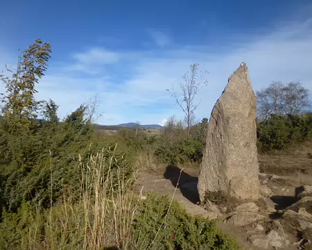 P1180118 Menhir de Lo Port