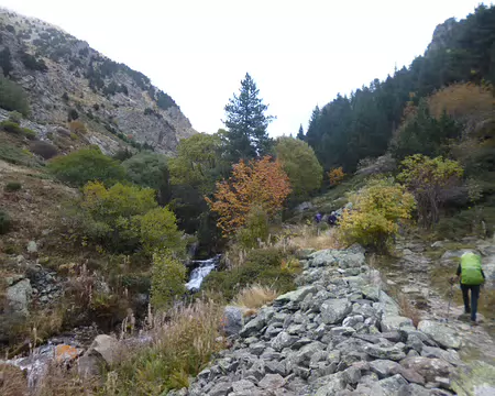 P1180129 Montée dans la vallée d'Eyne