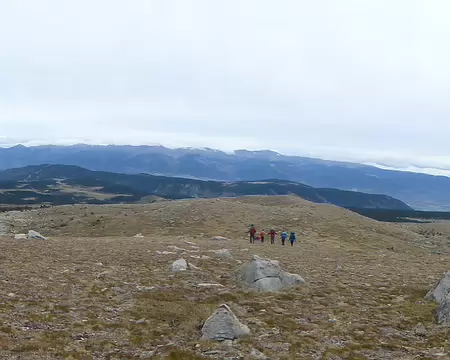 P1180159 en bas la Cerdagne