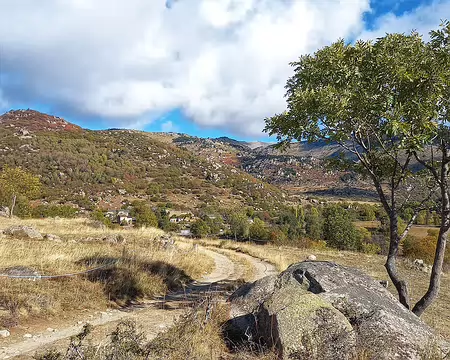 20231021_111458-01 Bena