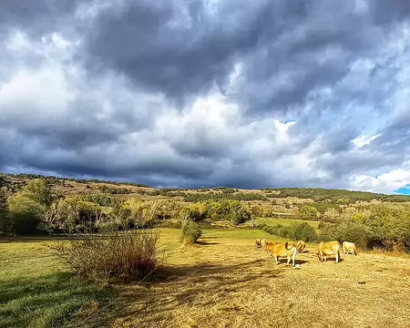 20231021_173406-01-01