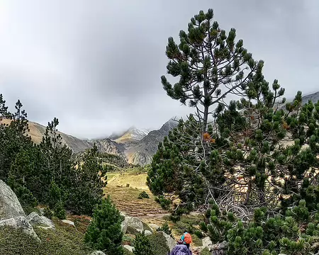 20231025_105700-01 Le Carlit encore dans les nuages.