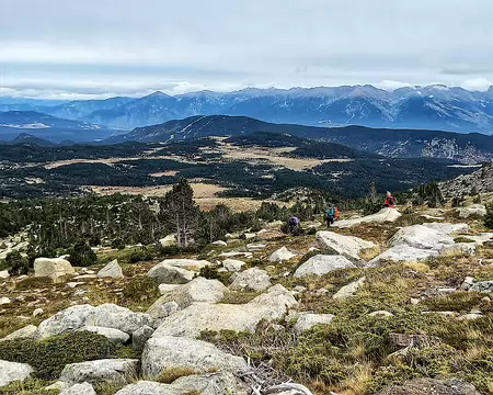 20231025_151740-01 Lande de genévriers, pins et bruyères rases. Les chevilles travaillent.