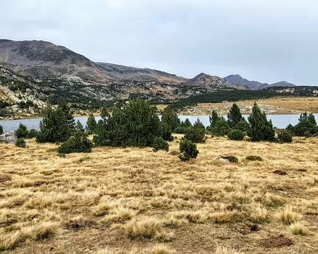 20231025_161244-01 Steppe marécageuse à l'estany Llat.
