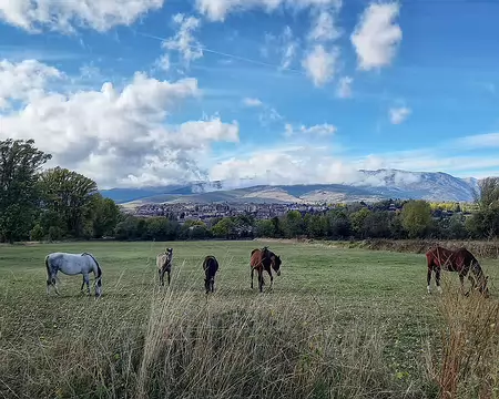 20231026_152952-01 Puigcerda