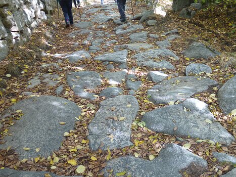 Dominique Dominique F, détail sortie