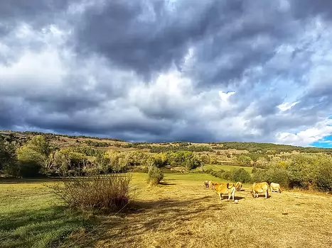 Hélène Hélène B, détail sortie