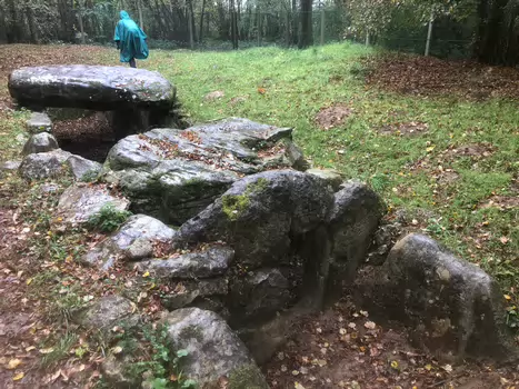 2023-10 Forêt de l'Isle Adam