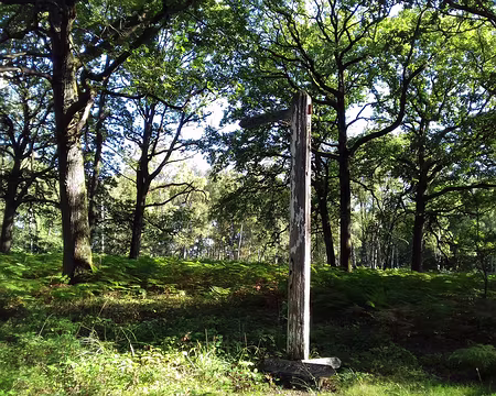 007 Le carrefour du Chêne aux Loups
