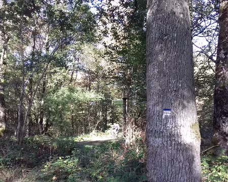 009 Balisage bleu et blanc des chemins du parc régional de la vallée de Chevreuse