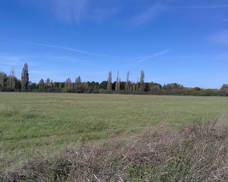 014 Le plateau de Rambouillet