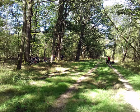 019 Pique-nique dans la forêt