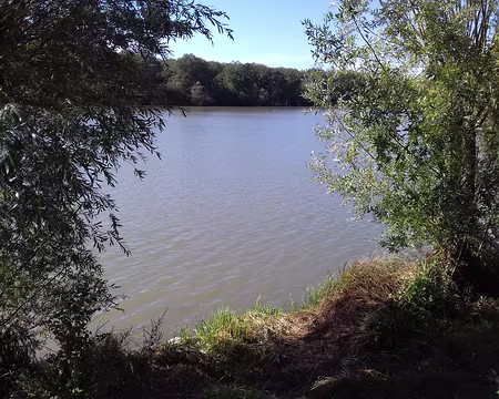 023 Creusé en 1685, l’étang de la Tour (12 ha) fait partie du vaste système hydraulique de la «Rivière royale». Les études de nivellement ont été réalisées par...