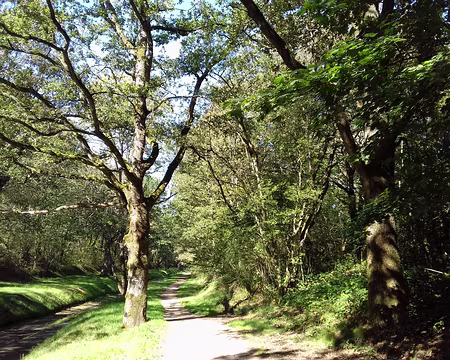 032 L’aqueduc souterrain de Vieille Eglise achemine l’eau par gravité de l’étang de la Tour, au sud, à l’étang du Perray, au nord (pente : 20 cm/km)