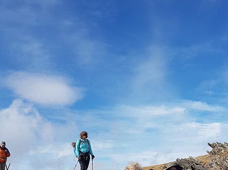 Céline Céline F, détail sortie