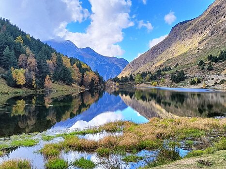 Sylvain Sylvain LC, détail sortie