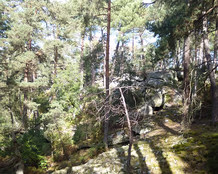 P1170907 Rochers des Demoiselles
