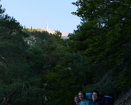 P1170099 La trielle sous le Mont Ventoux dans la combe du Grand Vallat du Rieu Froid.