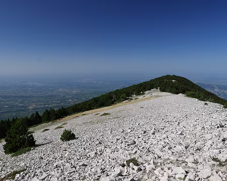 P1170140 Les genévriers gagnent du terrain avec le réchauffement climatique. La crête Ouest bien caillouteuse nous conduit bientôt dans une zone boisée.