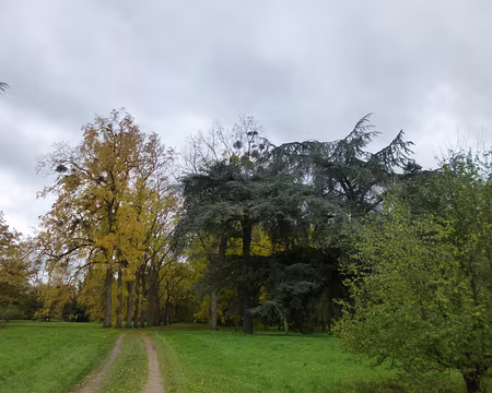 P1180269 Noyer noirs et cèdres de l'Atlas