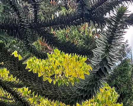 037 Devant-derrière