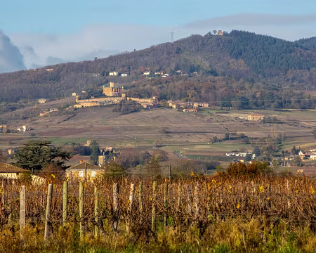 04-img_6454 Au loin, le chateau de Montmelas