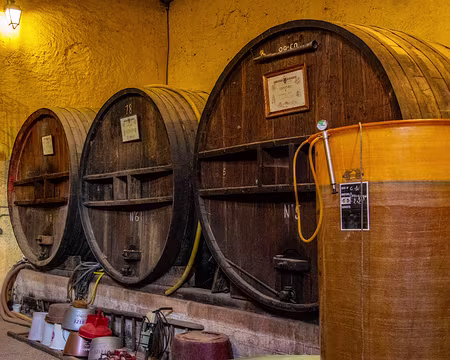 12-img_6463 Chateau de Talancé, visite des caves