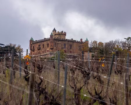 22-img_6474 Chateau de Montmelas