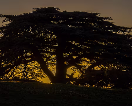 38-img_6483 Chateau de Montmelas