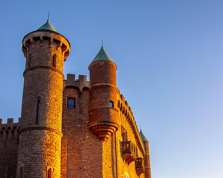 39-img_6484 Chateau de Montmelas