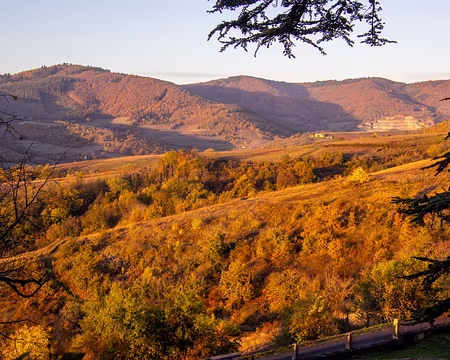 43-img_6488 Depuis le Chateau de Montmelas