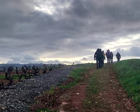 20231125_153019 Lavc59.14.100