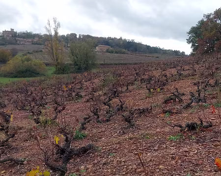 20231125_153232 Lavc59.14.100