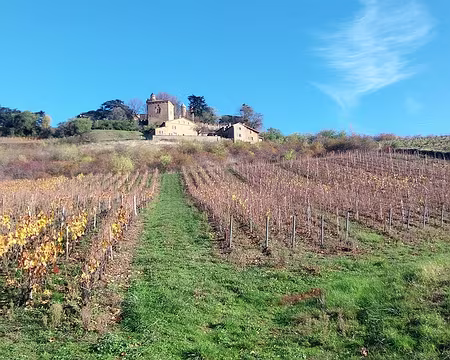 20231126_102257 Lavc59.14.100