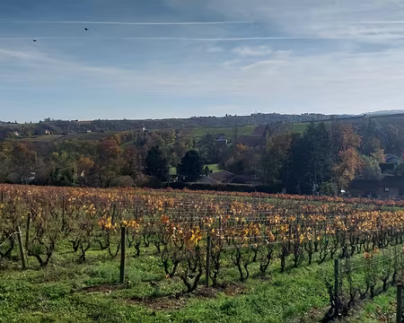 20231126_134508 Lavc59.14.100