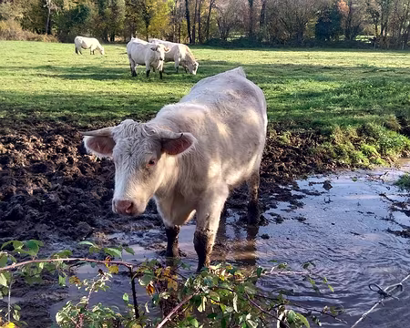 20231126_135603 Lavc59.14.100