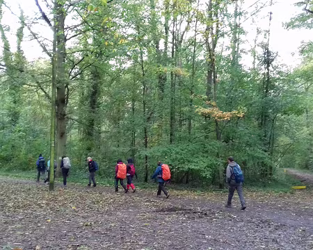 025 Chemin dans la forêt d’Ecouen